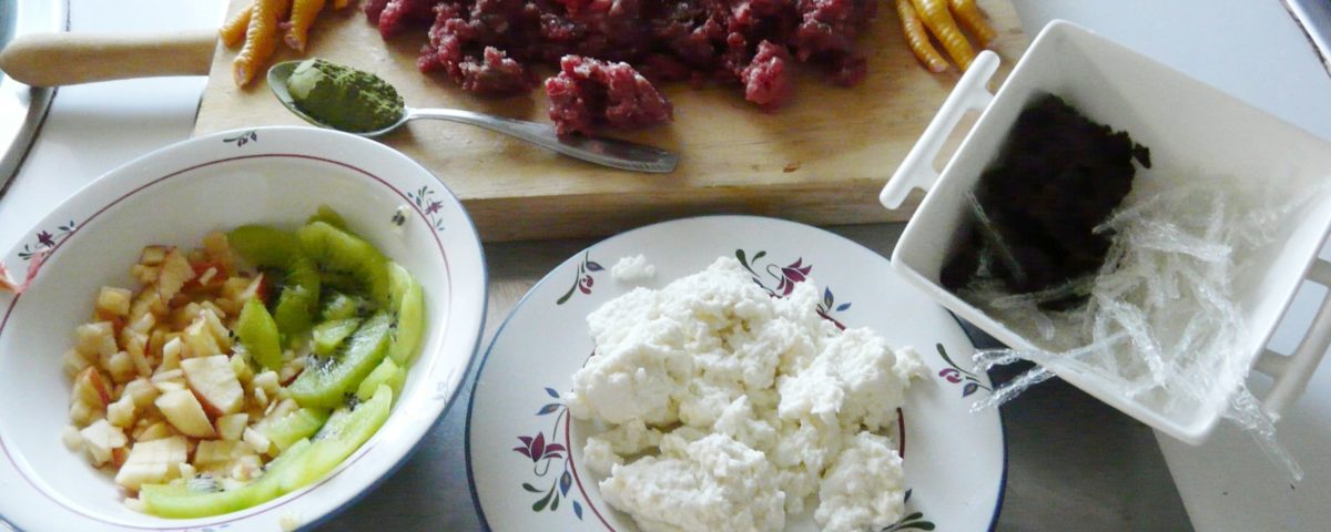 El tubo de alimentación (sonda)