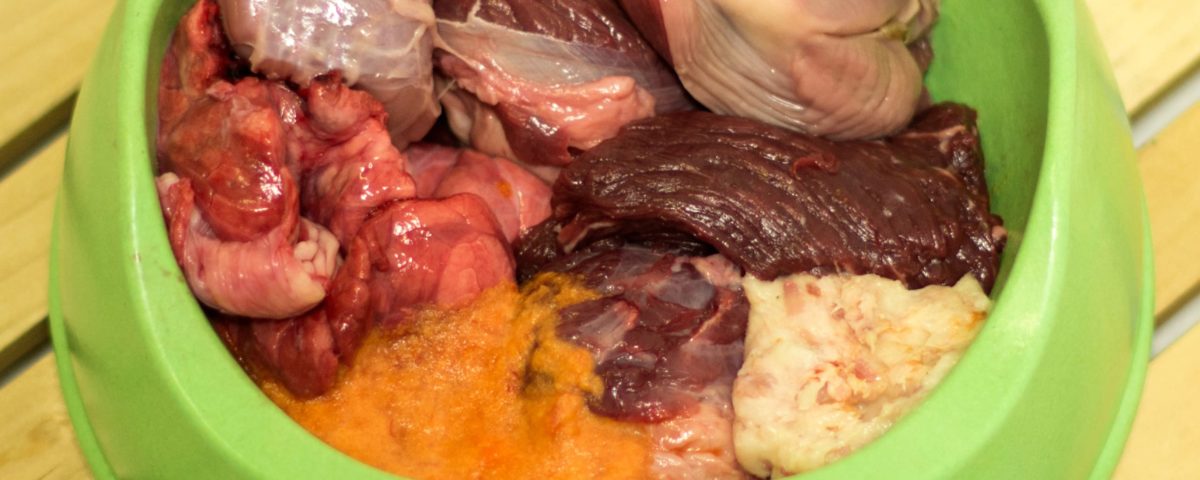 Dieta BARF