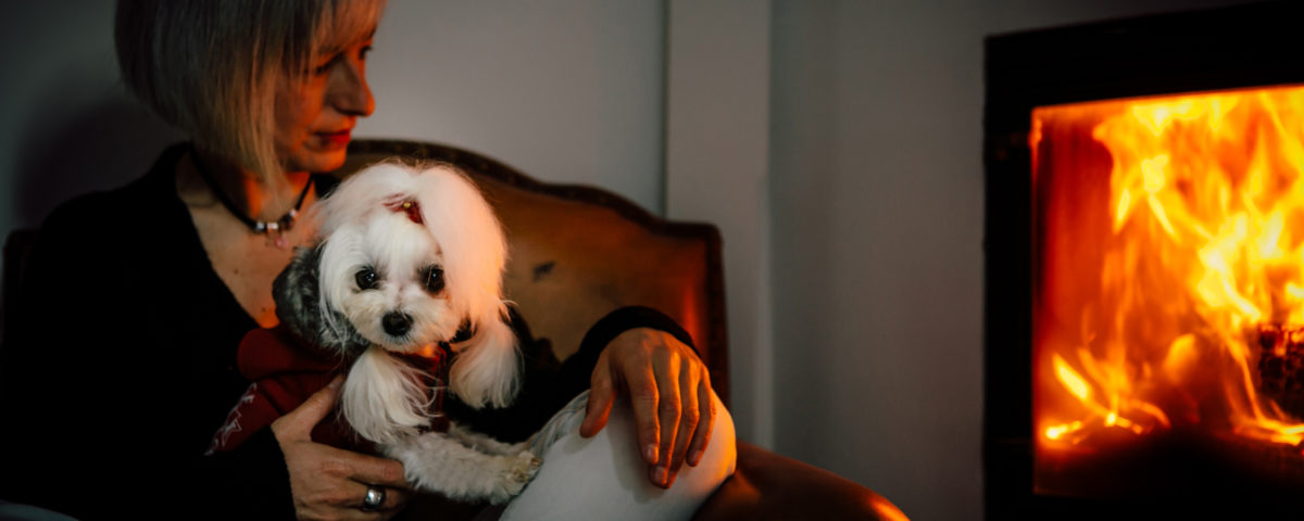 Entrevista de Excellence Dogs