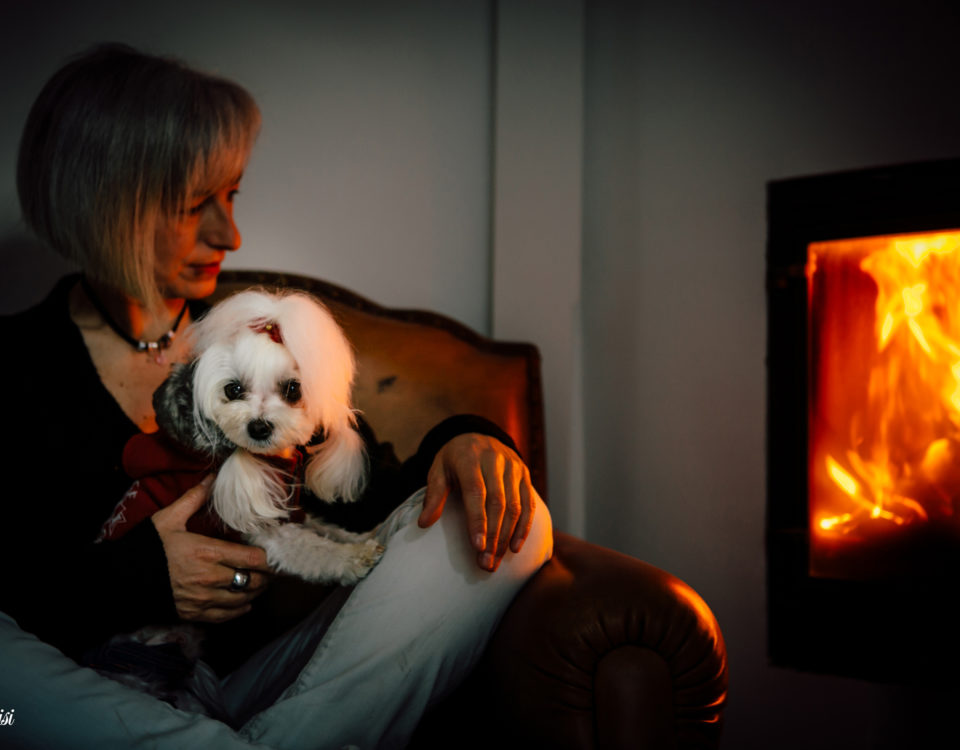 Entrevista de Excellence Dogs